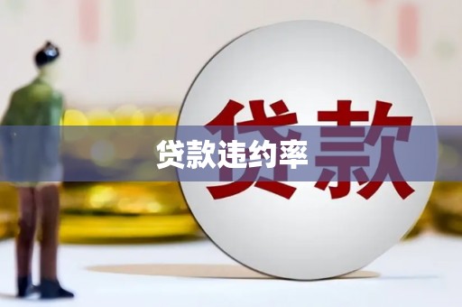 永年贷款违约率