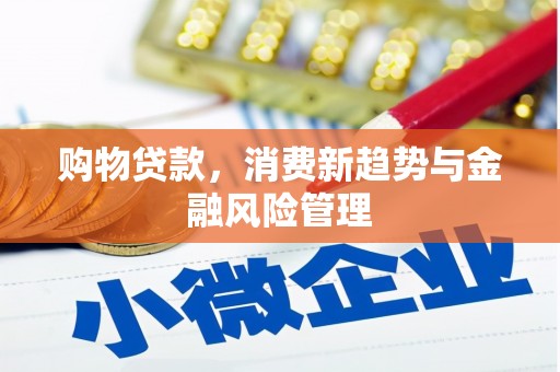 永年购物贷款，消费新趋势与金融风险管理