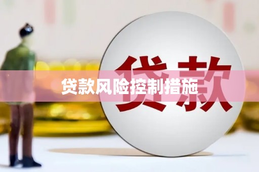 永年贷款风险控制措施