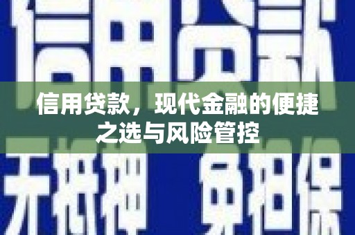 永年信用贷款，现代金融的便捷之选与风险管控