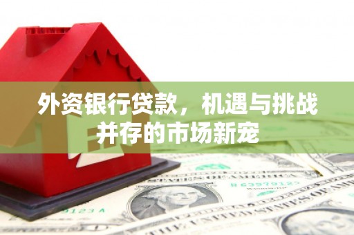 永年外资银行贷款，机遇与挑战并存的市场新宠