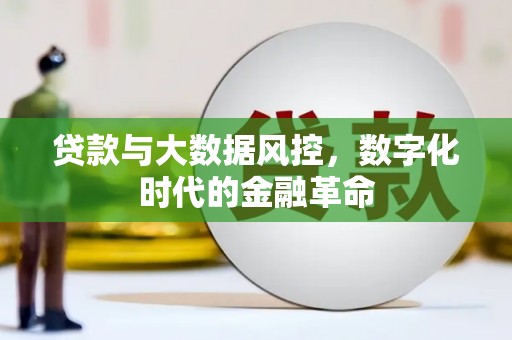 永年贷款与大数据风控，数字化时代的金融革命