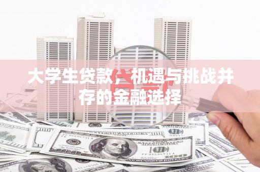 永年大学生贷款，机遇与挑战并存的金融选择