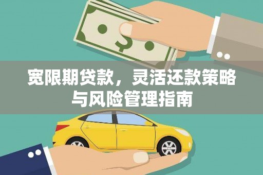 永年宽限期贷款，灵活还款策略与风险管理指南