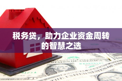 永年税务贷，助力企业资金周转的智慧之选