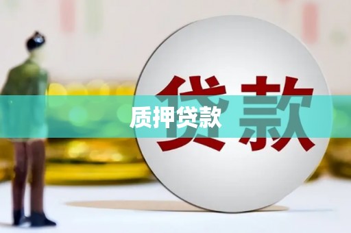 永年质押贷款