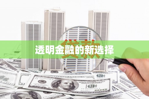 永年透明金融的新选择
