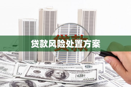永年贷款风险处置方案