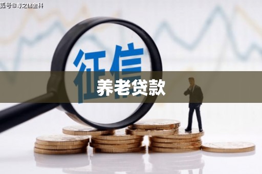 永年养老贷款