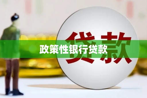 永年政策性银行贷款