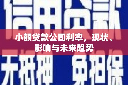 永年小额贷款公司利率，现状、影响与未来趋势