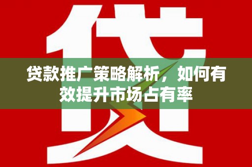 永年贷款推广策略解析，如何有效提升市场占有率