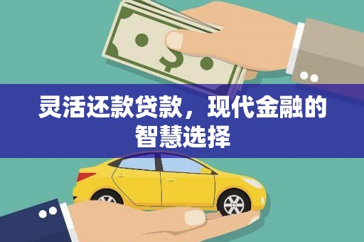 永年灵活还款贷款，现代金融的智慧选择