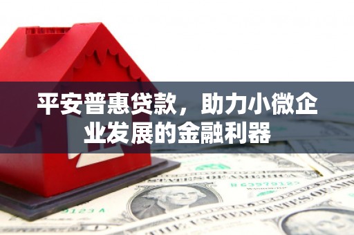 永年平安普惠贷款，助力小微企业发展的金融利器
