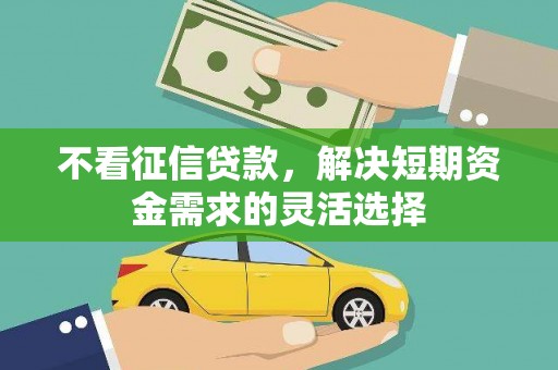 永年不看征信贷款，解决短期资金需求的灵活选择