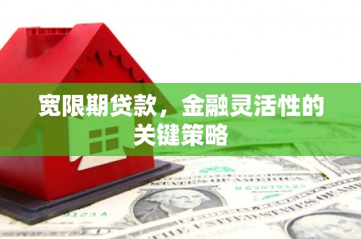 永年宽限期贷款，金融灵活性的关键策略