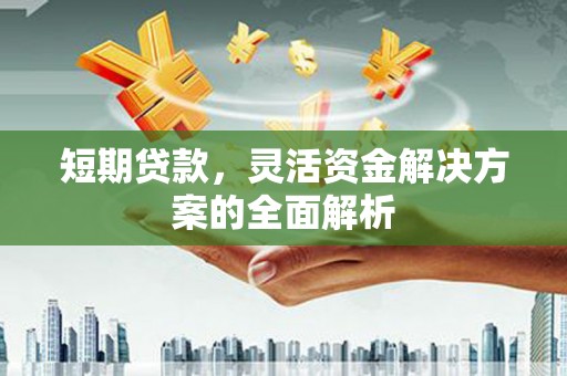 永年短期贷款，灵活资金解决方案的全面解析