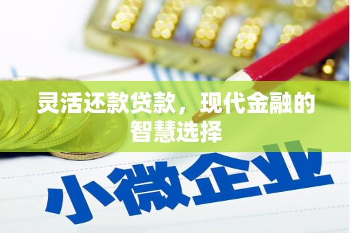 永年灵活还款贷款，现代金融的智慧选择