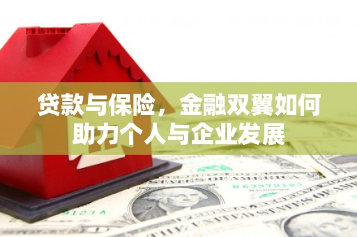 永年贷款与保险，金融双翼如何助力个人与企业发展