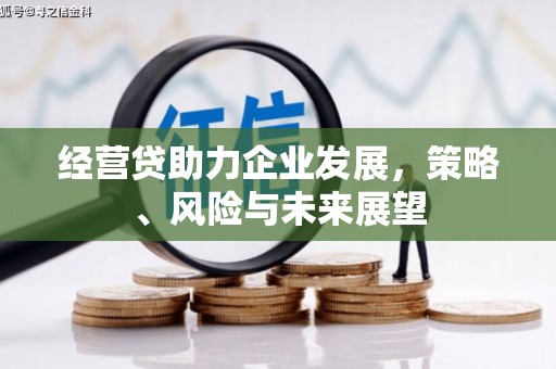 永年经营贷助力企业发展，策略、风险与未来展望