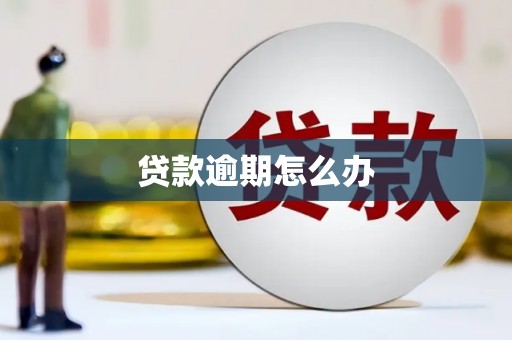永年贷款逾期怎么办