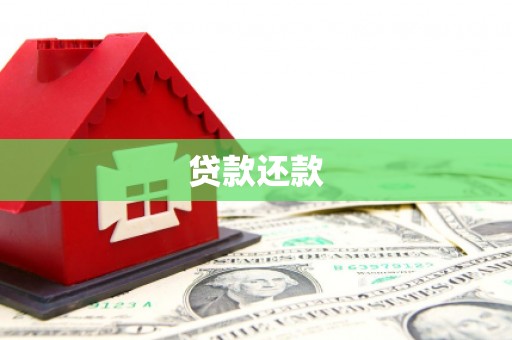永年贷款还款
