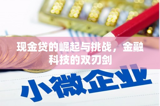 永年现金贷的崛起与挑战，金融科技的双刃剑