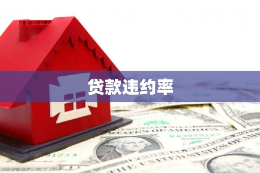 永年贷款违约率