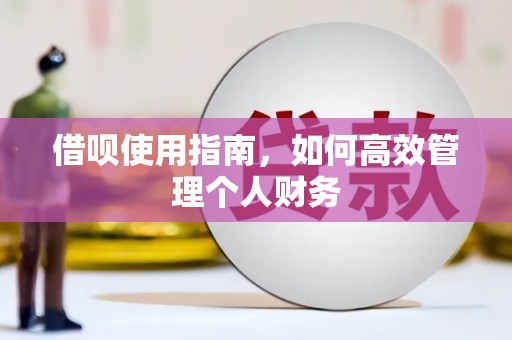 永年借呗使用指南，如何高效管理个人财务