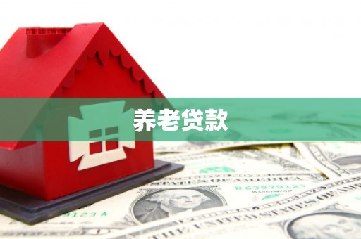 永年养老贷款