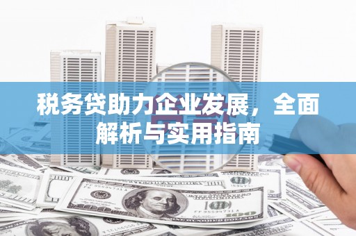 永年税务贷助力企业发展，全面解析与实用指南
