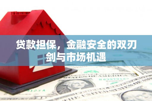 永年贷款担保，金融安全的双刃剑与市场机遇
