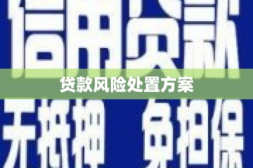 永年贷款风险处置方案