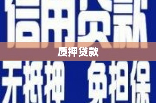 永年质押贷款