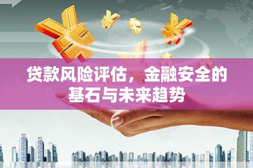 永年贷款风险评估，金融安全的基石与未来趋势