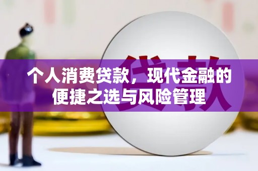 永年个人消费贷款，现代金融的便捷之选与风险管理