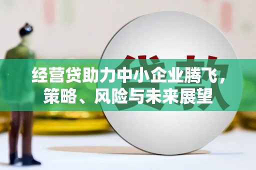 永年经营贷助力中小企业腾飞，策略、风险与未来展望
