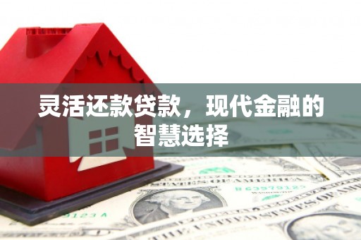 永年灵活还款贷款，现代金融的智慧选择