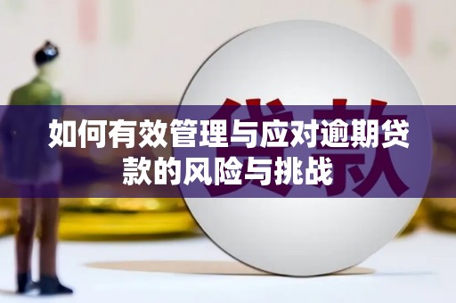 永年如何有效管理与应对逾期贷款的风险与挑战