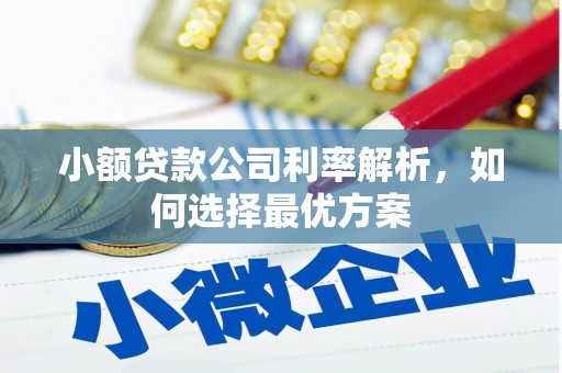 永年小额贷款公司利率解析，如何选择最优方案