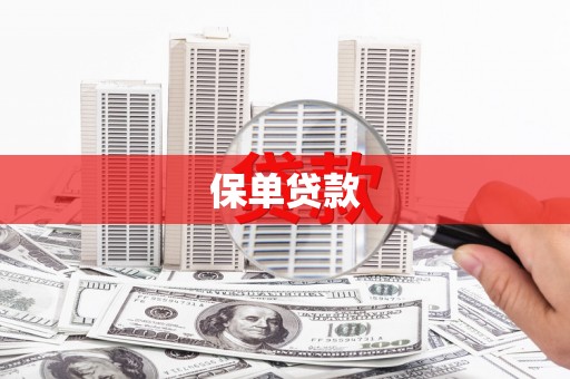永年保单贷款