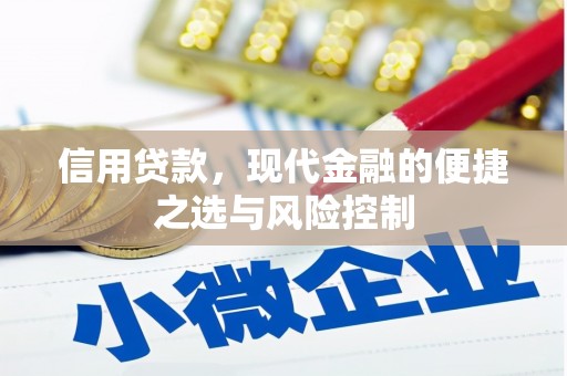 永年信用贷款，现代金融的便捷之选与风险控制