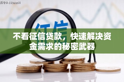永年不看征信贷款，快速解决资金需求的秘密武器