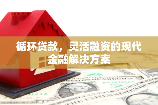永年循环贷款，灵活融资的现代金融解决方案