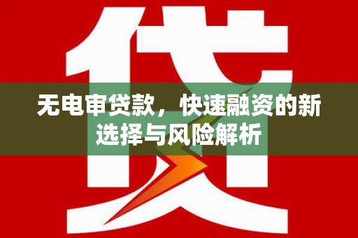 永年无电审贷款，快速融资的新选择与风险解析