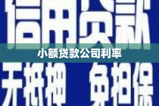 永年小额贷款公司利率