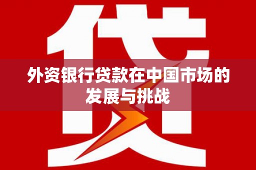 永年外资银行贷款在中国市场的发展与挑战
