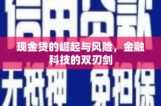 永年现金贷的崛起与风险，金融科技的双刃剑