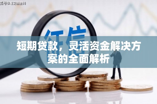 永年短期贷款，灵活资金解决方案的全面解析