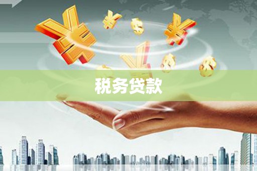 永年税务贷款